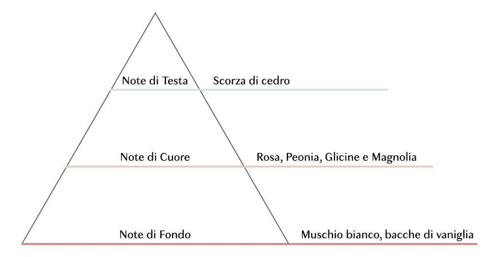 PIRAMIDE OLFATTIVA KYSH